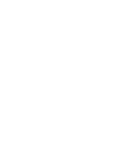 veslo